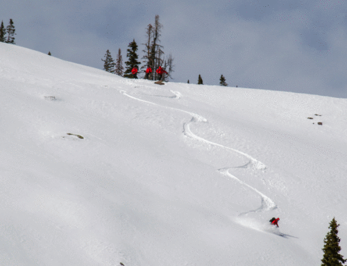 NOW HIRING – Backcountry Snowcat Skiing Guide