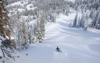 Solo skier ripping powder in Steamboat