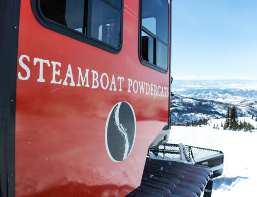 State of the Powder