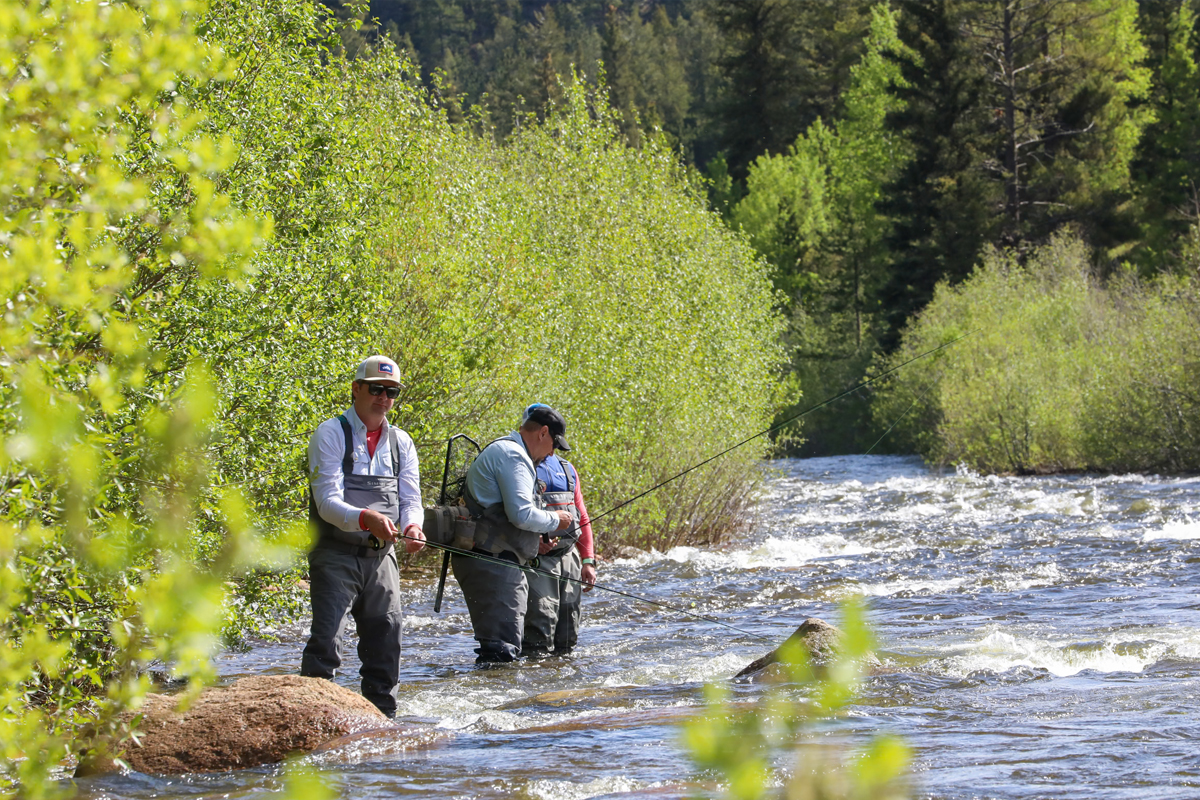 Fly fishing walk wade